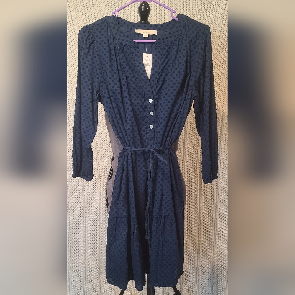NWT Loft Blue Swiss Dot Fully Lined 100% Cotton T-shirt Dress Size Small